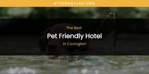 The Absolute Best Pet Friendly Hotel in Covington
