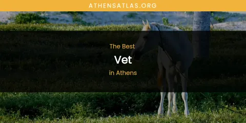 The Absolute Best Vet in Athens